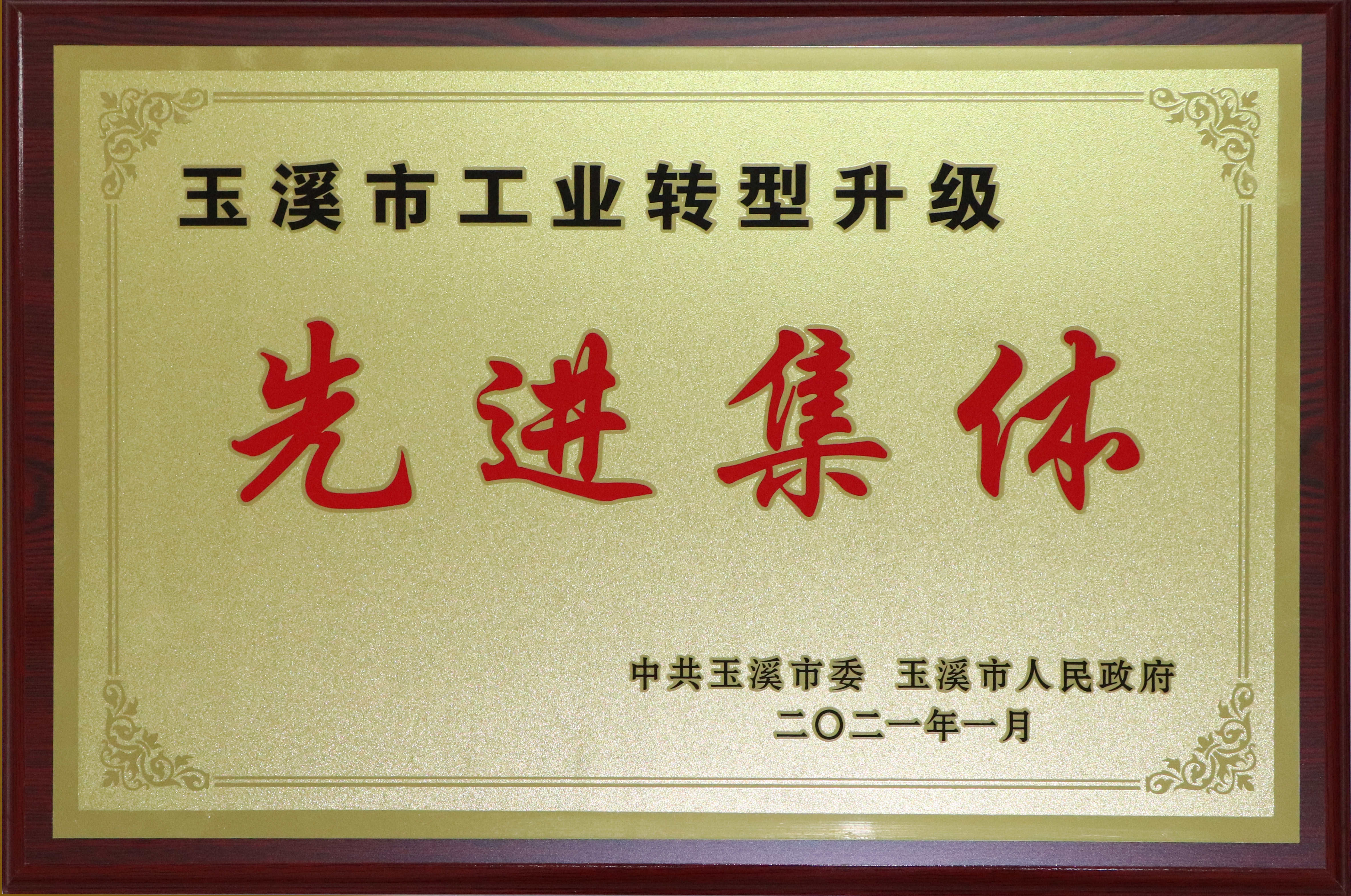 玉溪市工業(yè)轉(zhuǎn)型升級先進集體